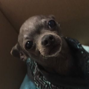 Meet your Posher, Milena